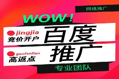 百度竞价账户托管：优化广告投放策略案例